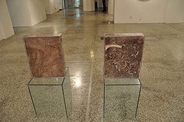 2014 - Artpokalypsa